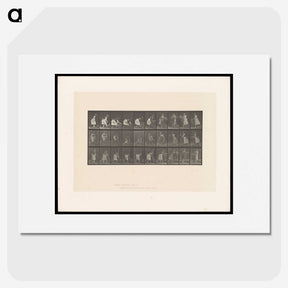 2-10_Eadweard-Muybridge_picture