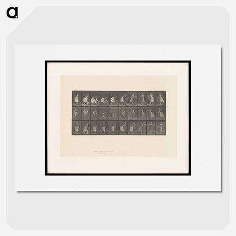2-10_Eadweard-Muybridge_picture