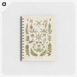 2-10_Ernst-Haeckel_memo