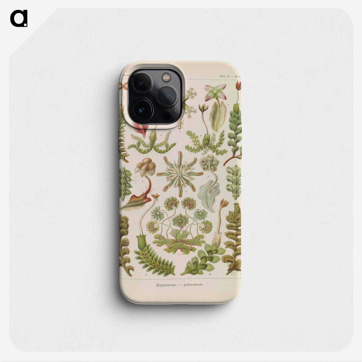 Hepaticae–Lebermoose illustration from Kunstformen der Natur - エルンスト ヘッケル Phone Case.