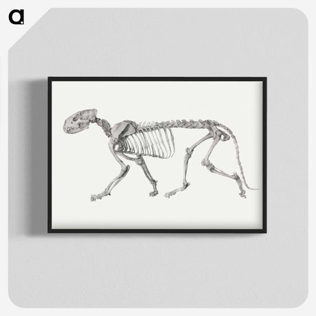2-10_George-Stubbs_blk-crop