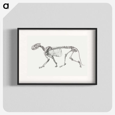 2-10_George-Stubbs_blk