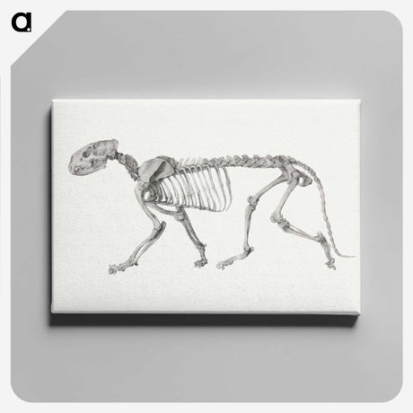 2-10_George-Stubbs_canvas
