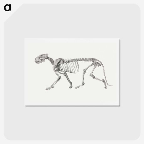 2-10_George-Stubbs_hagaki