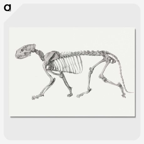 2-10_George-Stubbs_picture-crop