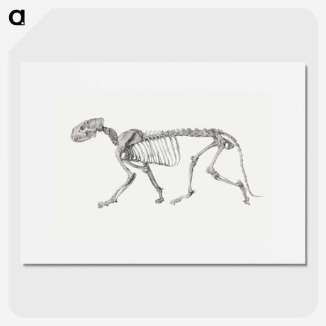 2-10_George-Stubbs_picture