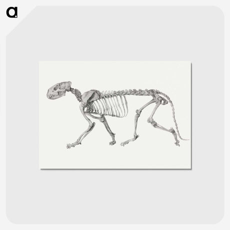 2-10_George-Stubbs_postcard