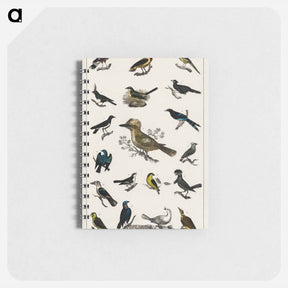 アートメモ帳-Collection of Various Birds
 - ゴールドスミスの生き生きとした自然 Memo.