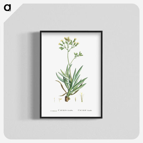 2-10_Histoire-des-Plantes-Grasses_blk-crop