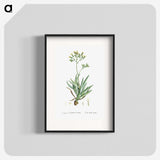 2-10_Histoire-des-Plantes-Grasses_blk