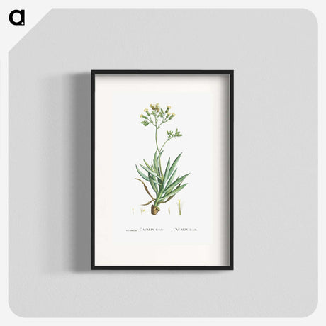 2-10_Histoire-des-Plantes-Grasses_blk