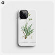 2-10_Histoire-des-Plantes-Grasses_phone