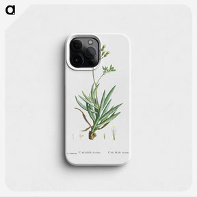 2-10_Histoire-des-Plantes-Grasses_phone