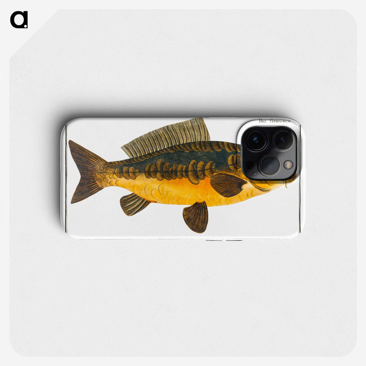 2-10_Ichtyologie-ou-Histoire-naturelle_phone