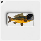 2-10_Ichtyologie-ou-Histoire-naturelle_phone