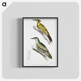 2-10_Indian-Zoology_blk-crop