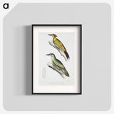 2-10_Indian-Zoology_blk