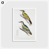 2-10_Indian-Zoology_hagaki