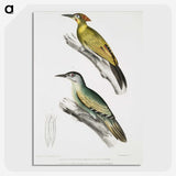 2-10_Indian-Zoology_picture-crop