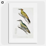 2-10_Indian-Zoology_picture