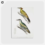 2-10_Indian-Zoology_postcard
