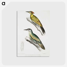 2-10_Indian-Zoology_postcard