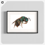 2-10_Insects-Unlocked-Project_blk