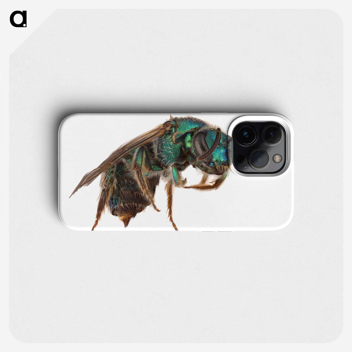 2-10_Insects-Unlocked-Project_phone