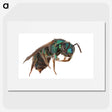 2-10_Insects-Unlocked-Project_picture