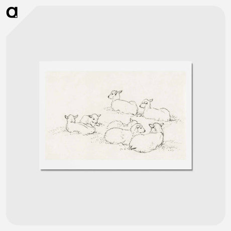 アートポストカード-Six lying lambs - ジャン ベルナール Postcard.