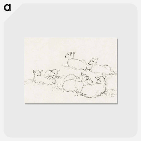 アートポストカード-Six lying lambs - ジャン ベルナール Postcard.