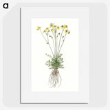 2-10_Johan-Teyler_picture