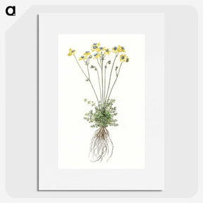 2-10_Johan-Teyler_picture