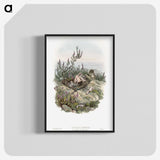 2-10_John-Gould_blk-crop