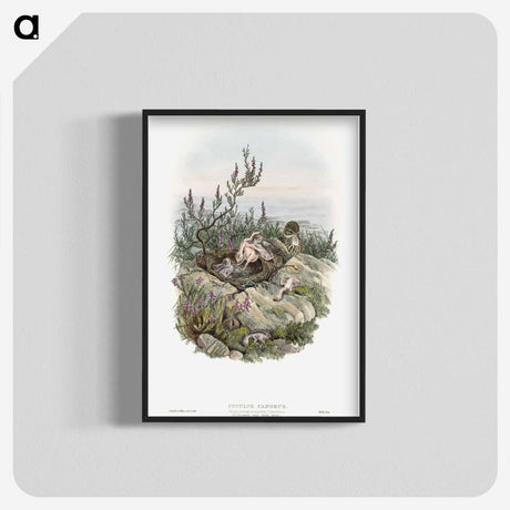 2-10_John-Gould_blk-crop