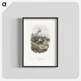 2-10_John-Gould_blk
