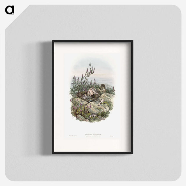 2-10_John-Gould_blk