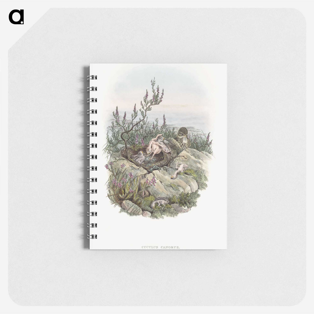 2-10_John-Gould_memo