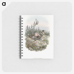 2-10_John-Gould_memo