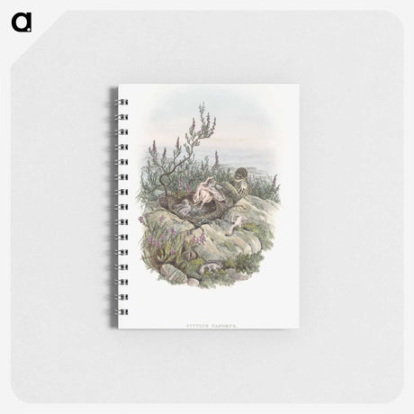 2-10_John-Gould_memo