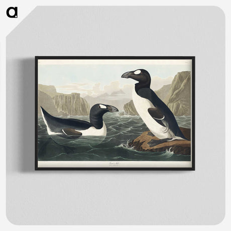 2-10_John-James-Audubon_blk-crop