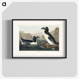 2-10_John-James-Audubon_blk