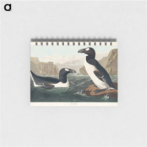アートメモ帳-Great Auk
 - ジョン ジェームス オーデュボン Memo.