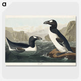 2-10_John-James-Audubon_picture-crop