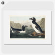 2-10_John-James-Audubon_picture