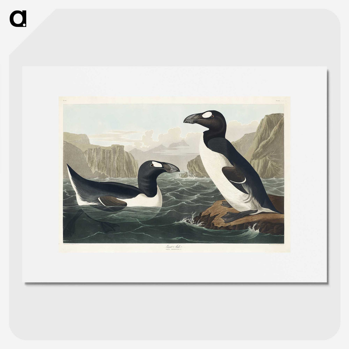 2-10_John-James-Audubon_picture