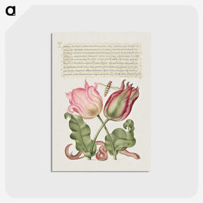 2-10_Joris-Hoefnagel_postcard