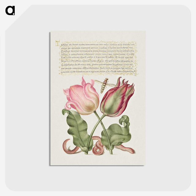 2-10_Joris-Hoefnagel_postcard