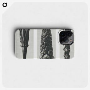 2-10_Karl-Blossfeldt_phone