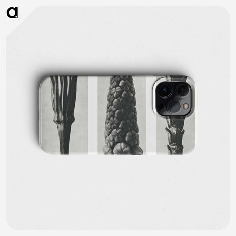 2-10_Karl-Blossfeldt_phone